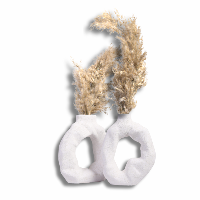 مزهرية ديكور عصرية بشكل حلقي (متوفرة: أسود وأبيض)