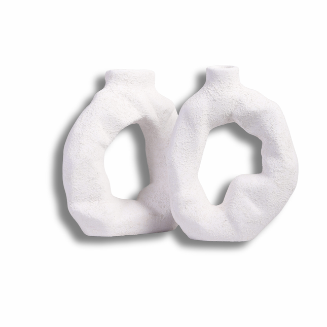 مزهرية ديكور عصرية بشكل حلقي (متوفرة: أسود وأبيض)