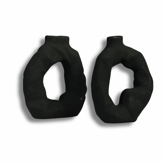 مزهرية ديكور عصرية بشكل حلقي (متوفرة: أسود وأبيض)