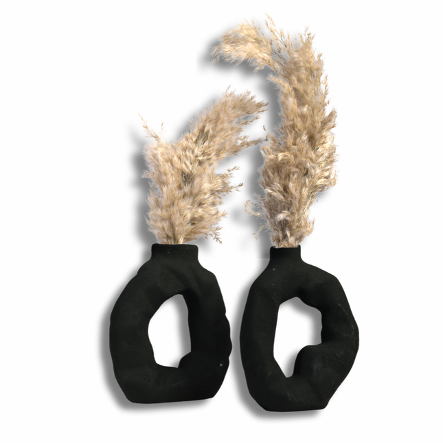 مزهرية ديكور عصرية بشكل حلقي (متوفرة: أسود وأبيض)